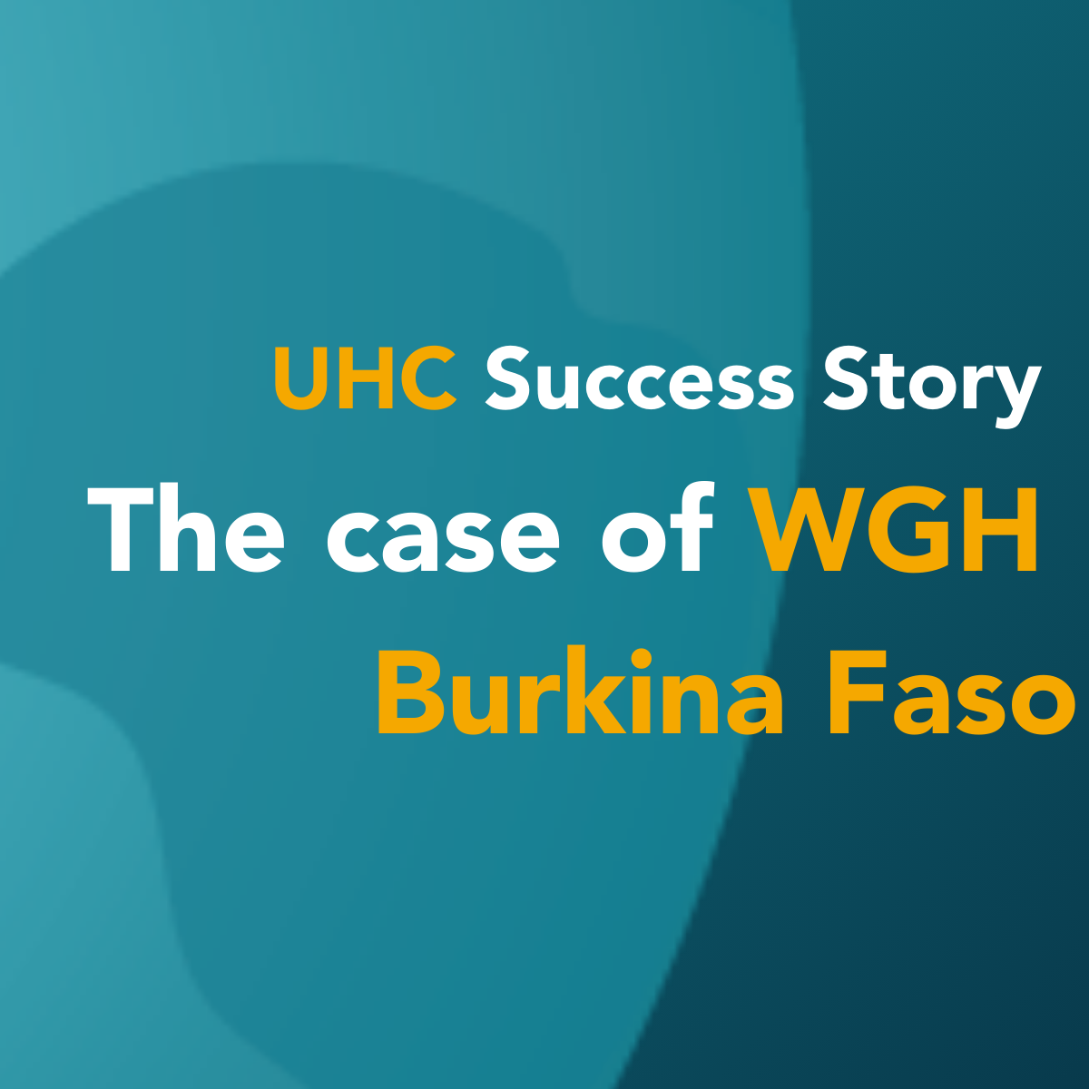 Women in Global Health helps to advance Gender-Responsive Universal Health Coverage in Burkina Faso